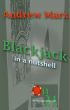 Blackjack in a Nutshell by Andrew Marx