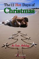 Cover for 'The 12 Hot Days of Christmas'