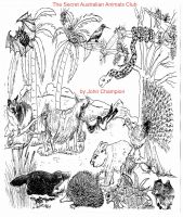 Cover for 'The Secret Australian Animals Club'