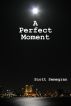 A Perfect Moment by Scott Semegran