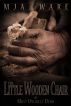 The Little Wooden Chair -or- The Most Unlikely Hero by MJA Ware 