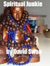 Spiritual Junkie by David Swan