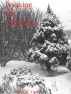Looking for Christmas by Mary Young