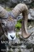Mouflon Brigade (Espionage Thriller / Mystery / Historical) by Gina Drew