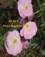 Cover for 'Mercy'