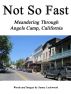 Not So Fast: Meandering Through Angels Camp, California by Sunny Lockwood
