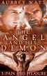 The Angel and His Demon Book 1: Pain and Pleasure by Aubrey Watt