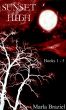 Sunset High by Marla Braziel