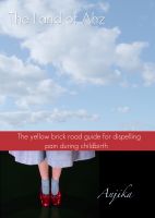 Cover for 'The Land of Ahz: The Yellow Brick Road Guide for Dispelling Pain During Childbirth'