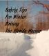 Winter Driving Safety Tips by The Florida Hoosier