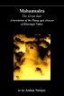 Buddhism in translation 16: Mahamudra by Joshua Norager