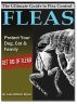 The Ultimate Guide to Flea Control by Luke Styles