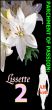 Parchment Of Passion: Lissette 2 by A.H.  Scott