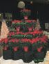 The Spirit of Christmas in Poetry by Jim Dunlap