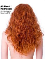 Cover for 'All About Redheads: (Do Redheads Have Souls?)'