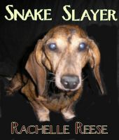 Cover for 'Snake Slayer'