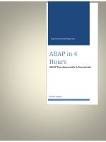 Cover for 'ABAP in 4 Hours'