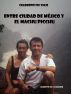 Cuadernos de viaje. Entre Ciudad de MÃ©jico y el Machu Picchu by Alberto de la Madrid