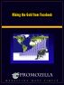 Mining the Gold From Facebook by Kim Deas