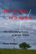 The Image of a Storm by Ronnie Coleinger
