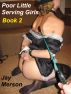 Poor Serving Girls - Book 2 (BDSM erotica) by Jay Merson
