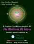 The Medicine of Selves Volume 1 - How to realize real success in life by White Eagle