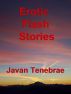 Erotic Flash Stories by Javan Tenebrae