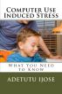 Computer Use Induced Stress by Adetutu Ijose