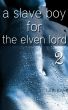 A Slave Boy For the Elven Lord 2 by Lilith Kinke