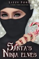 Cover for 'Santa's Ninja Elves'