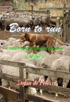 Cover for 'Born to run'