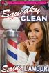Squeaky Clean:  A Bat City Erotica Quickie by Serena L'Amour