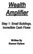 Wealth Amplifier Step 1: Small Buildings, Incredible Cash Flows by Gunnar Dylenn