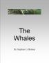 The Whales by Stephen Bishop