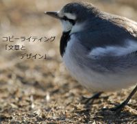 Cover for 'コピーライティング「文章のデザイン」'