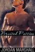 Bruised Passion (Gay Sex Story) by Jordan Marshall