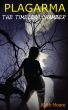 Plagarma - The Timeless Chamber by Keith Hoare