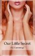 Our Little Secret by PJ Cummings