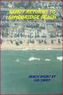 Sandy Returns to Sandbridge by Lee Carey