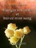 Sermons sur l'Evangile de Jean (III) - Mangez ma chair et buvez mon sang by Paul C. Jong