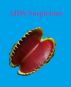 AIDS Suspicions by Monica P