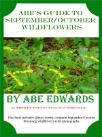 Cover for 'Abe's Guide to September/October Wildflowers'
