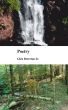 Poetry by Glen Brereton Jr.