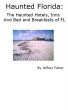 Haunted Florida: The Haunted Hotels, Inns and Bed and Breakfasts of FL by Jeffrey Fisher