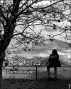 Friends by Damia Bowen