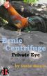 Ernie Centrifuge, Private Eye by David Barron