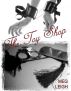 The Toy Shop by Meg Leigh