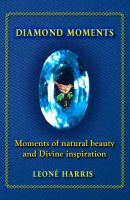 Cover for 'Diamond Moments'