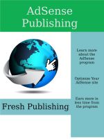 Cover for 'AdSense Publishing'