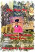 The Nan Tu - Southern Swallow Book II by Edward C. Patterson
